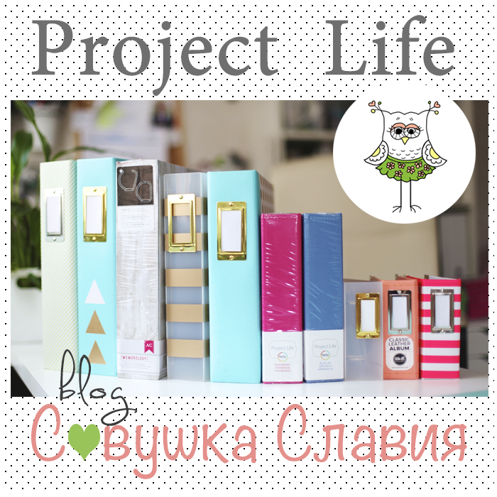 Project Life-2015