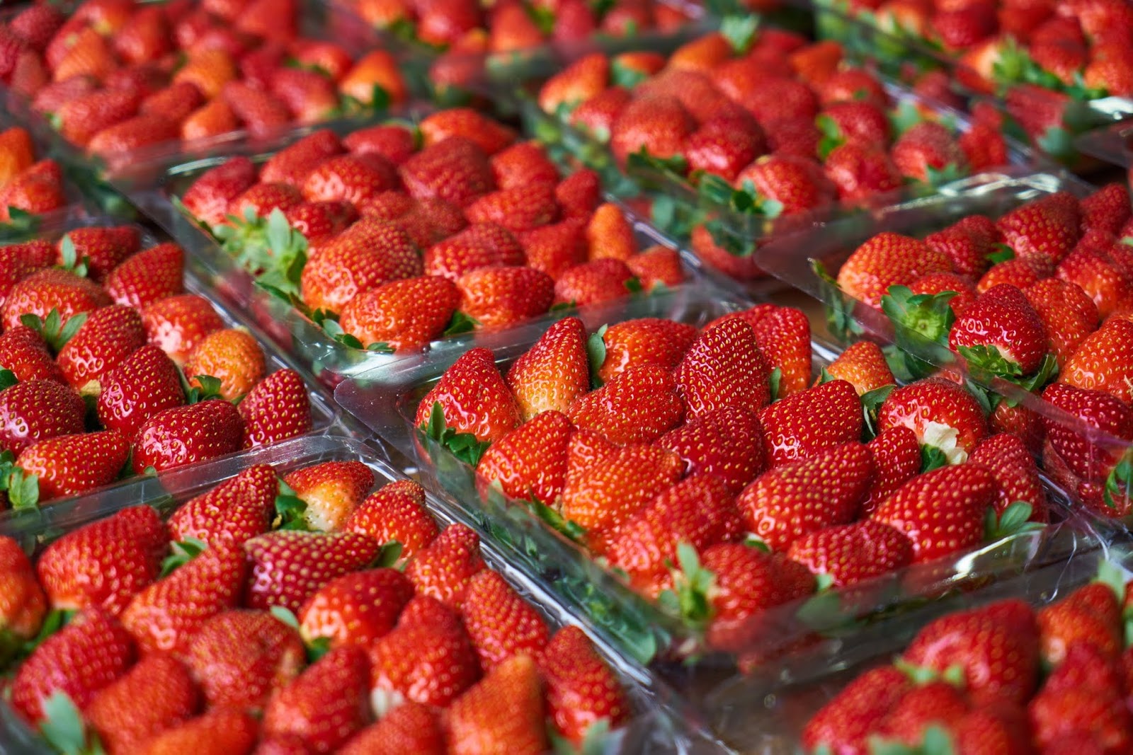 Fresh Strawberries 84 Cents Per Pint (Save 50!)