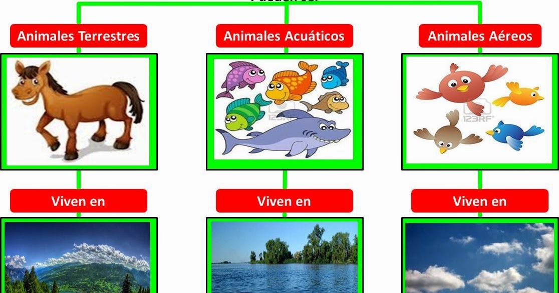 Guía de aprendizaje del nivel inicial, PreKinder (EDUCARE) Animales según su hábitat Guía de aprendizaje del nivel inicial, PreKinder (EDUCARE) Animales según su hábitat