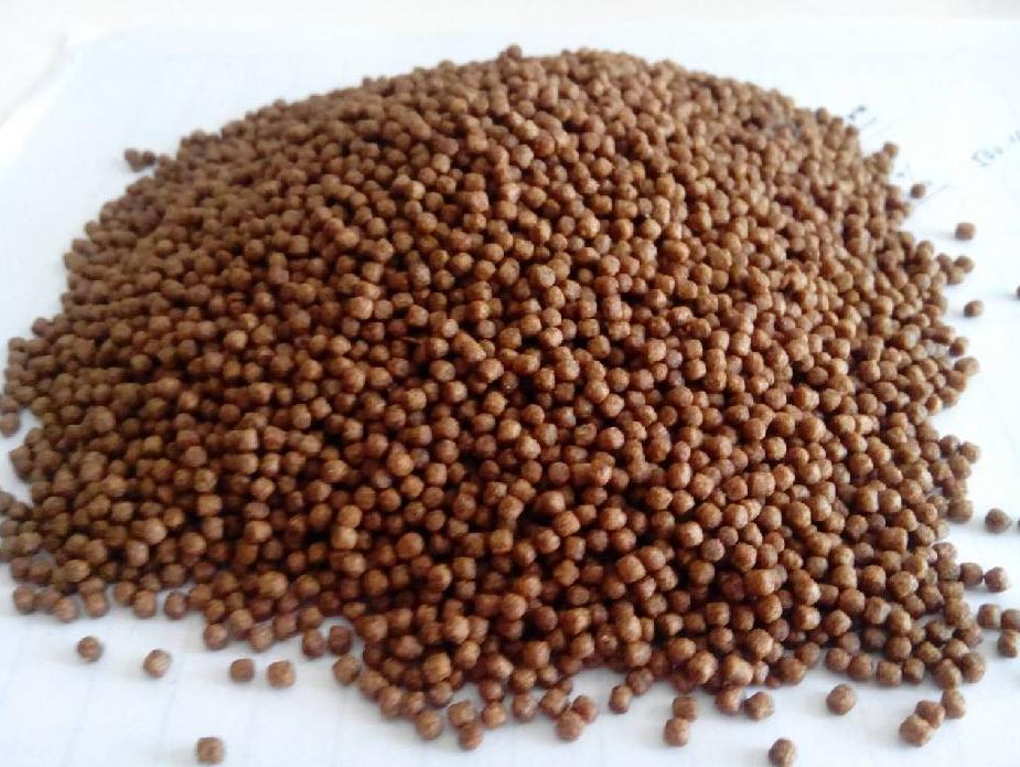 Best Catfish Feed with High Nutrition for Growth Indonesia Catfish