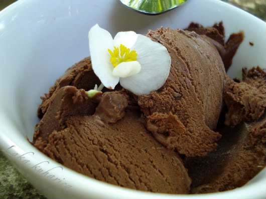 Rich dark chocolate ice cream by Laka kuharica: dark, creamy, and super rich ice cream.