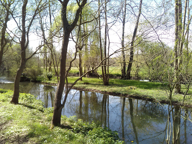 cours d'eau, rivière, ,méditation