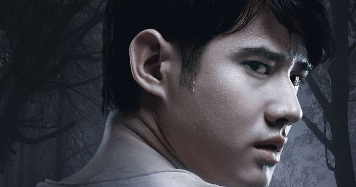 Wise Kwai's Thai Film Journal: News and Views on Thai Cinema: Review