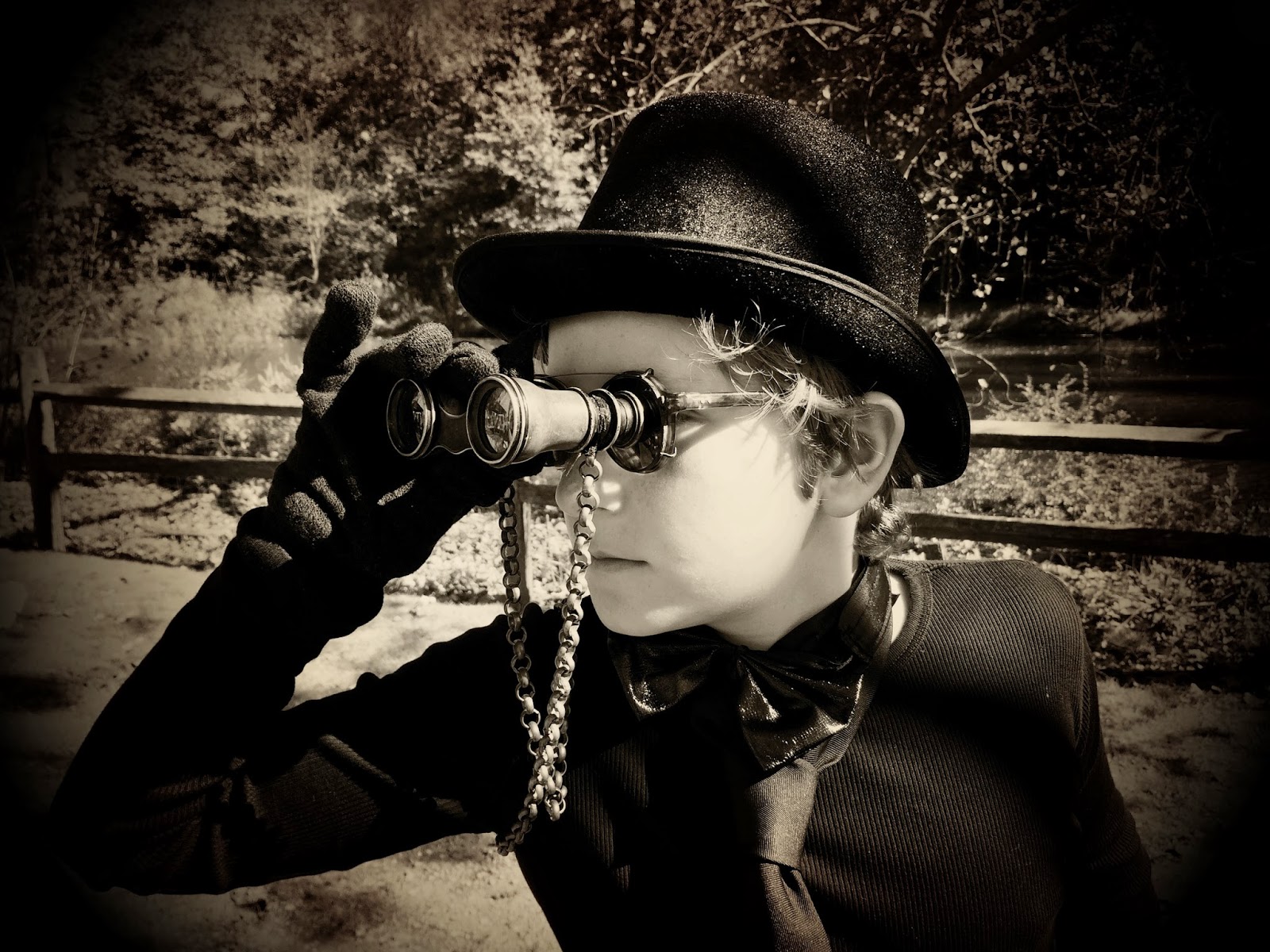 PROJECT MAYHEM ADVENTURES IN THE WORLD OF STEAMPUNK by eden unger bowditch