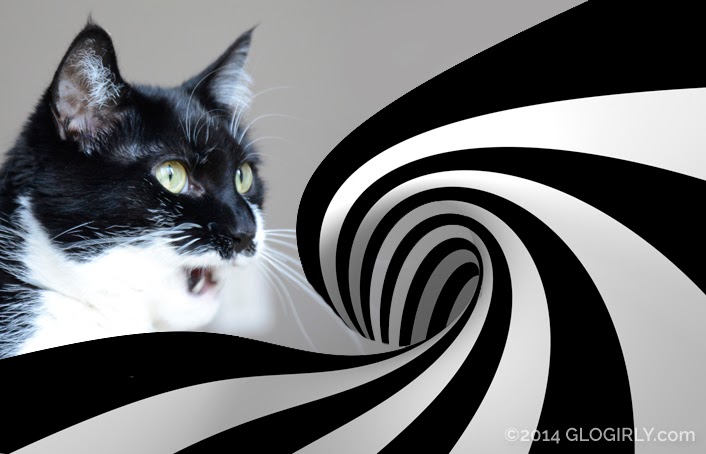 GLOGIRLY: Stepping Into the Twilight Cat Zone