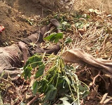 Graphic Photos: Elderly farmer hacked to death by suspected herdsmen in Oyo State