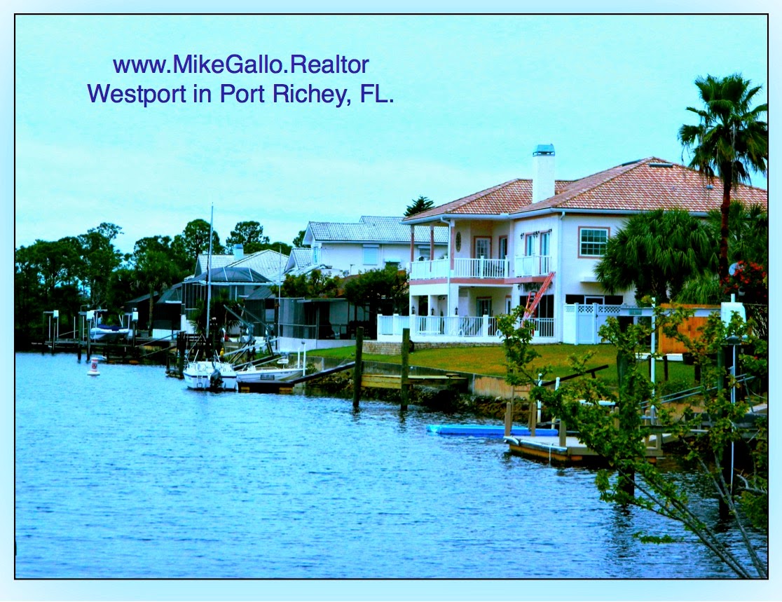 Luxury Gulf Homes in Pasco County Florida