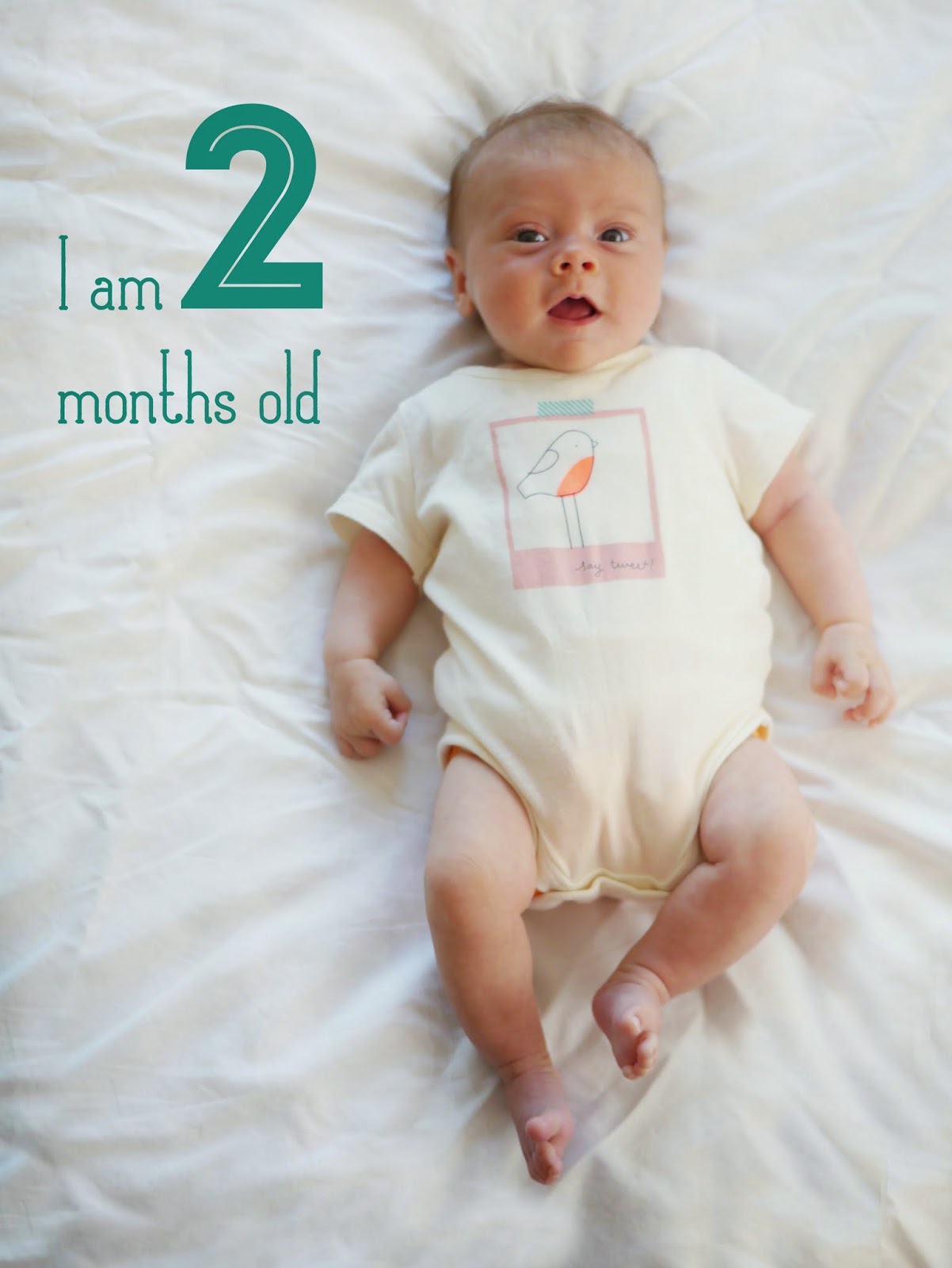 2 months leave. 2 Months Baby. 2 Months old Baby. Two months Baby. 2 Months Baby фото.