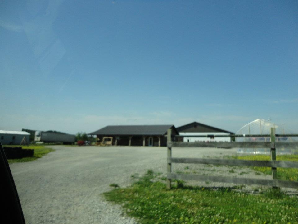 Where the Green Grass Grows... Sauder Farm Country Market in Elkton,KY