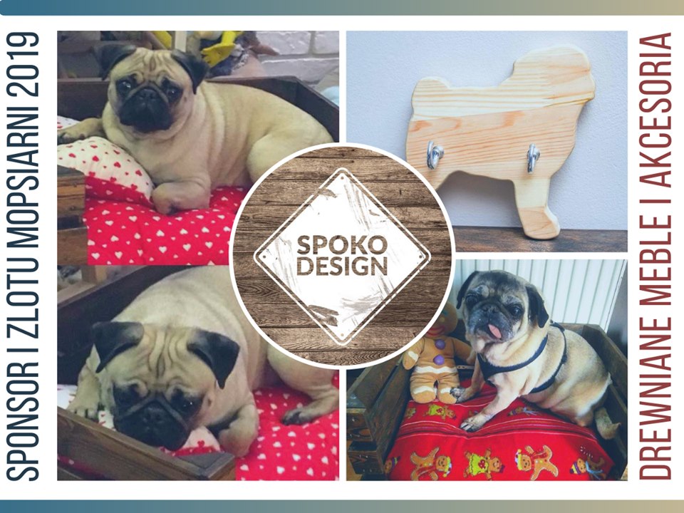 Spoko Design