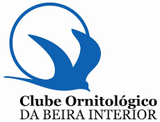 Clube Ornitológico da Beira Interior