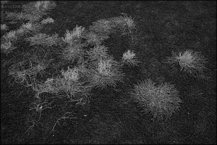 Bajo el cesped artificial está la playa fotografía, Límites, naturaleza urbana, Fuente Álamo, SEMS, triptico, rotonda