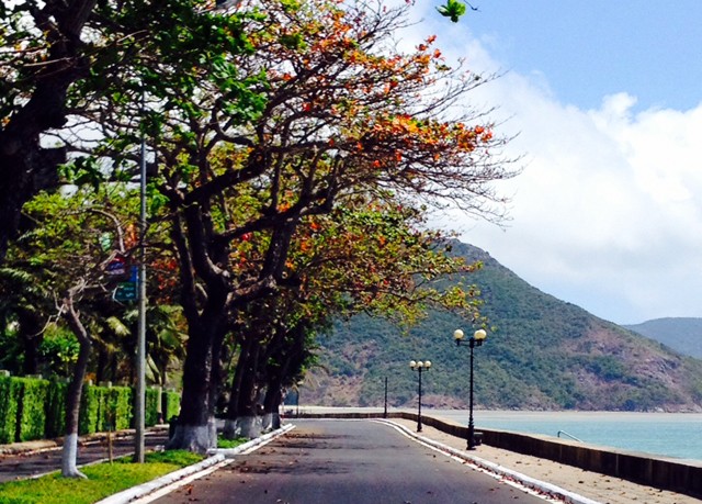 Bờ biển Côn Đảo Bờ biển Côn Đảo