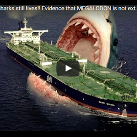 GREAT WHITE SHARK ATTACKS Caught On Tape - Wildlife Documentary - A