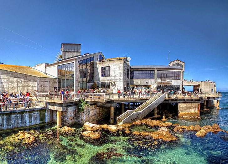 Monterey Bay Aquarium: Monterey Bay, California