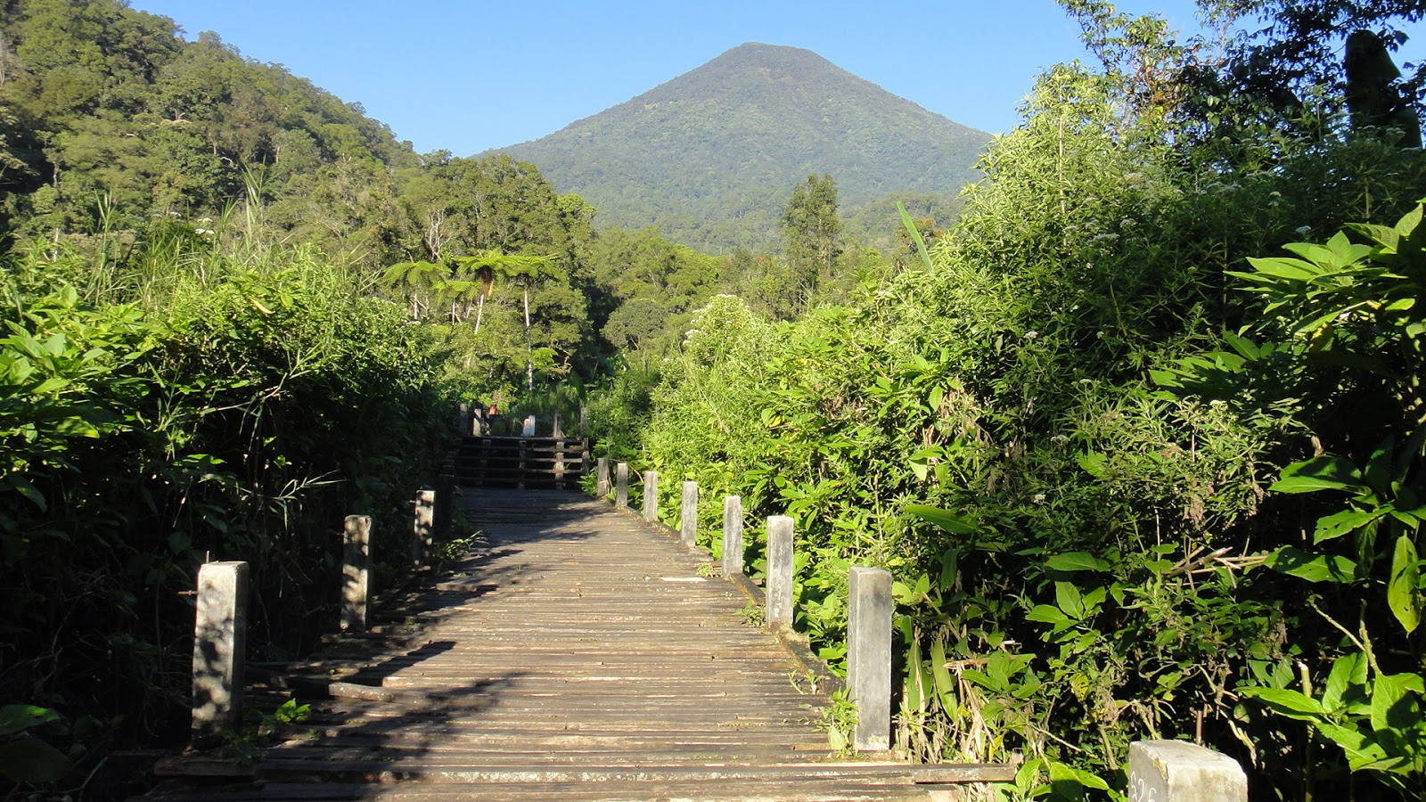 BEAUTY OF INDONESIA: TAMAN NASIONAL GUNUNG GEDE-PANGRANGO
