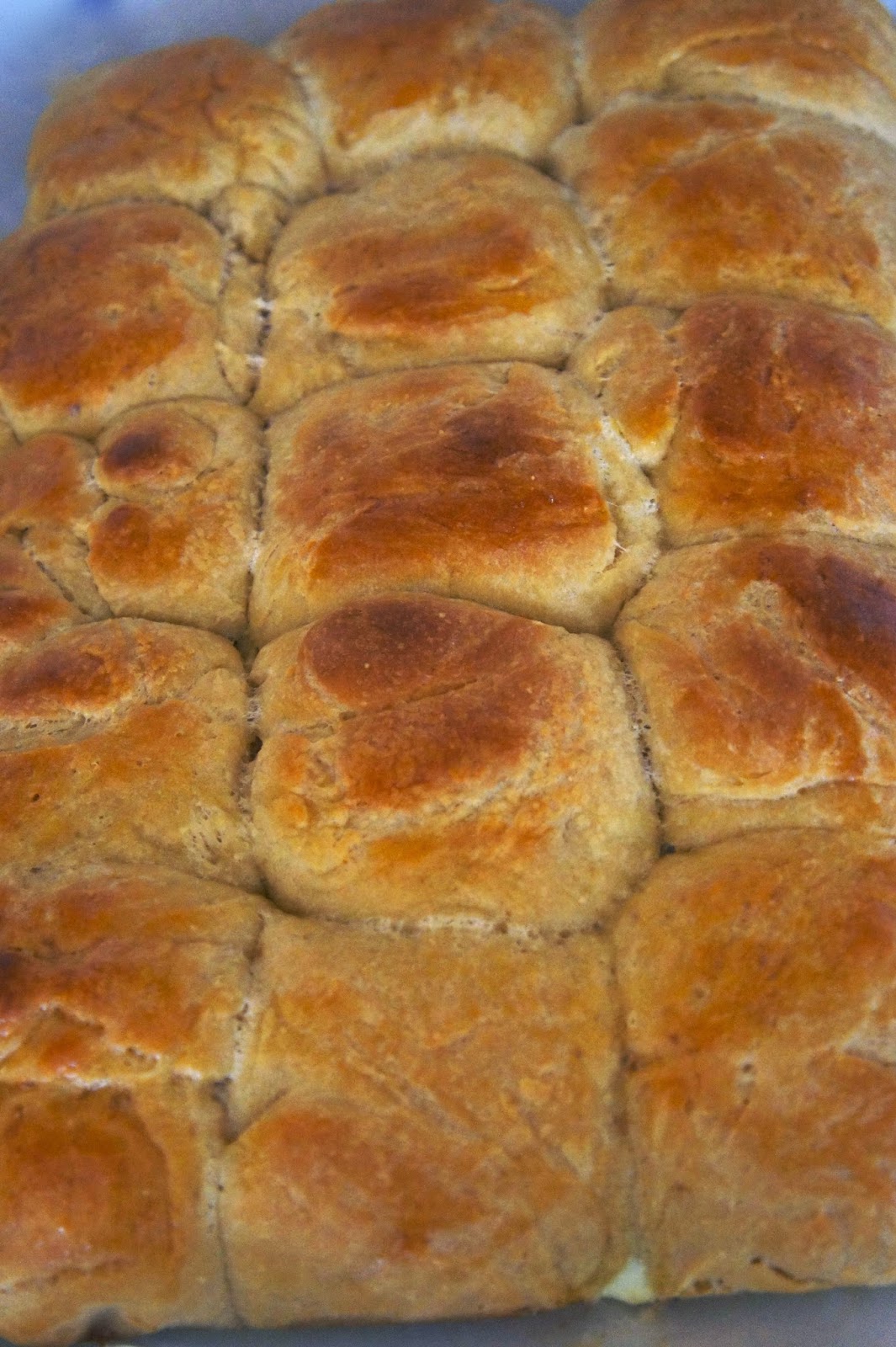 Savory Sweet and Satisfying Rolls