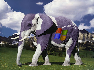 Amazing Microsoft Elephant Gallery