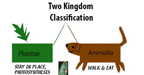 Ilmuwan biologi yang mengelompokkan makhluk hidup ke dalam lima kingdom adalah