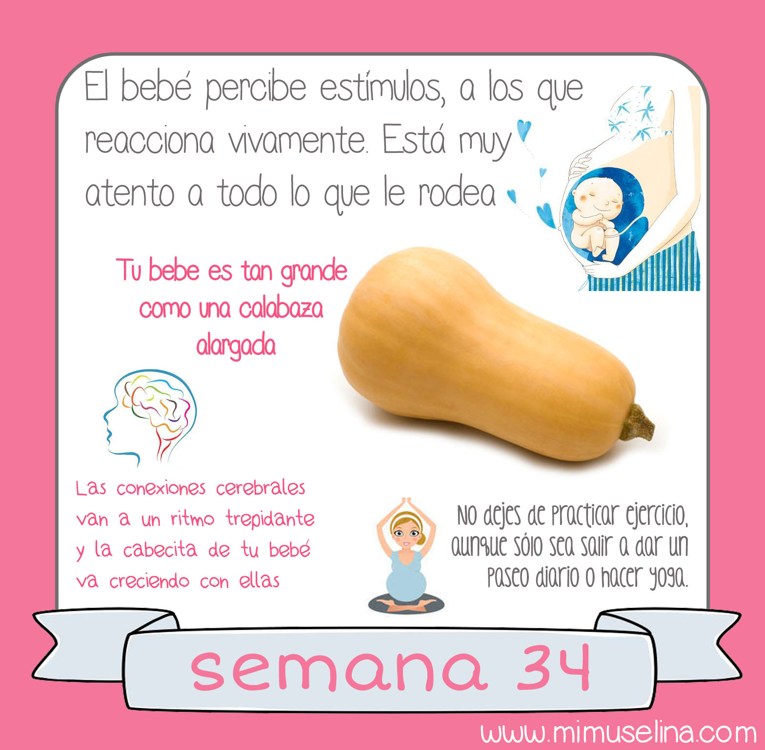 dolor de huesos pélvicos 34 semanas de embarazo dolor de huesos pélvicos 34 semanas de embarazo