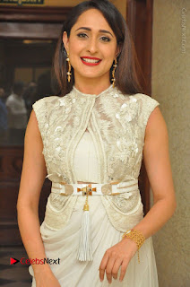 Actress Pragya Jaiswal Stills in Beautiful White Dress at turodu Audio Launch  0001