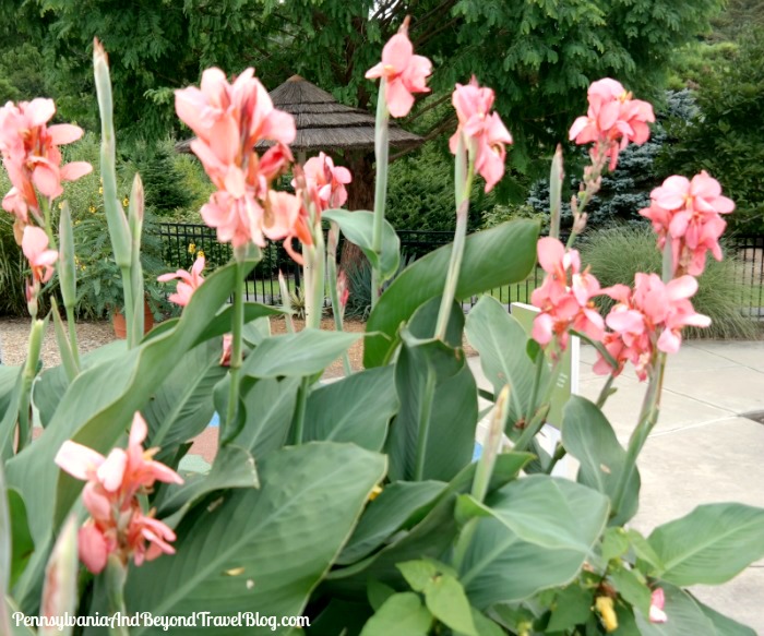 Pennsylvania Beyond Travel Blog Visiting The Hershey Gardens In