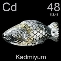 Kadmiyum elementi üzerinde kadmiyumun simgesi, atom numarası ve atom ağırlığı.