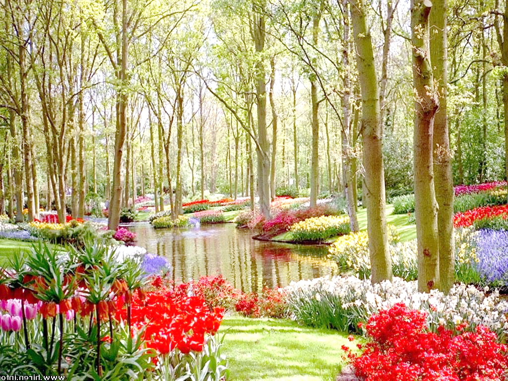 Nikmati Hari Yang Indah di Taman Bunga - Relaks Minda