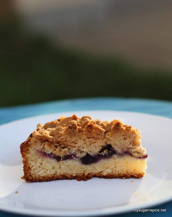 A Slice of Blueberry Crumble Cake