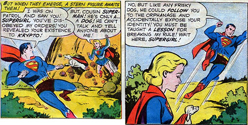 Supergirl Dog Collar Supergirl Dog Collar