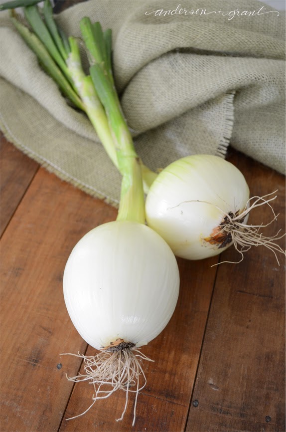 Fresh garden onions | www.andersonandgrant.com