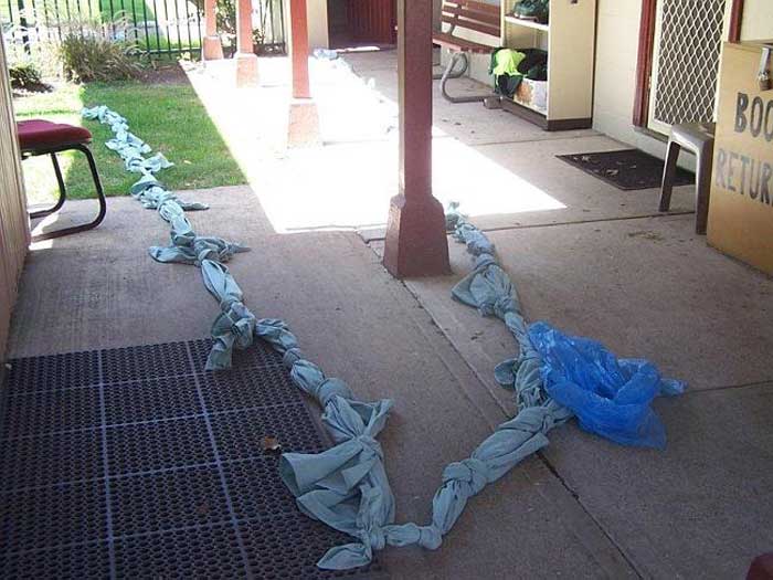 Nothing To Do With Arbroath Female prisoners' bedsheet escape plan foiled