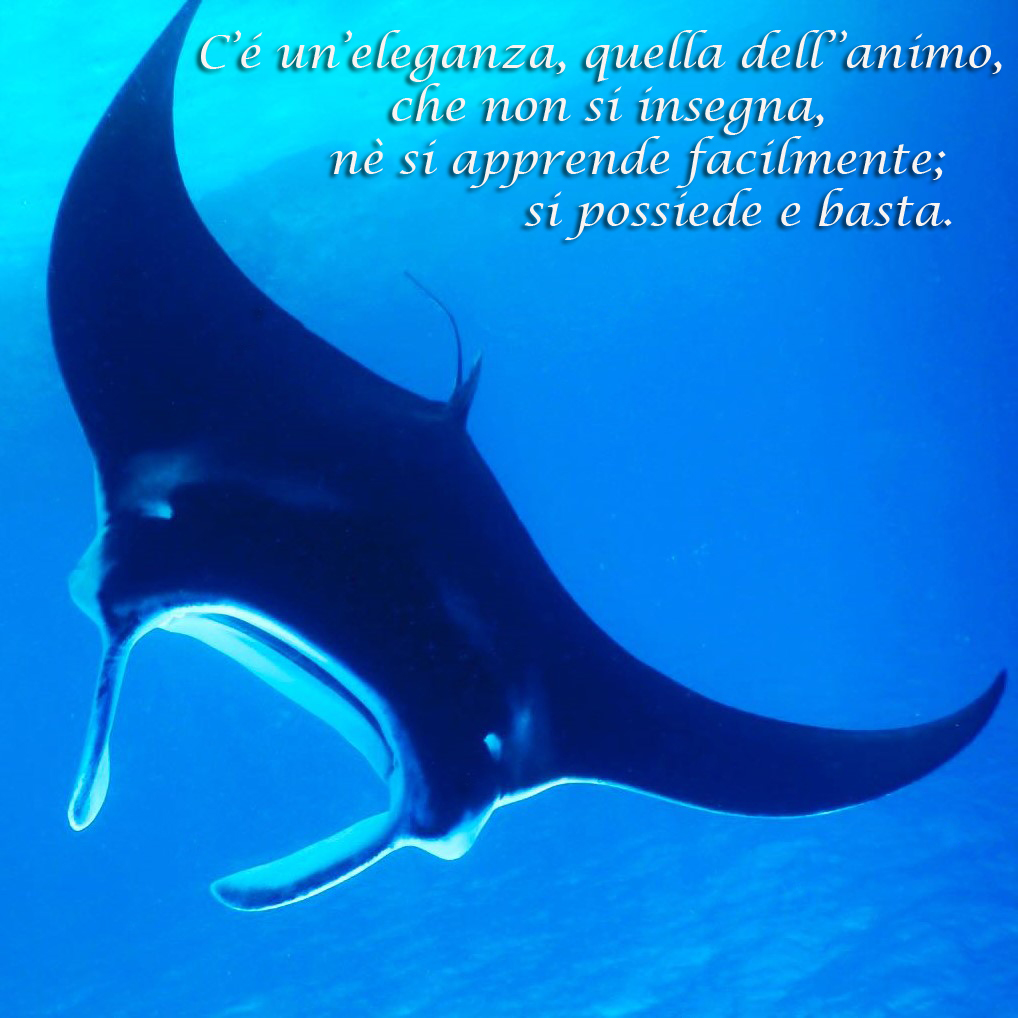 Come smettere di fumare una targa