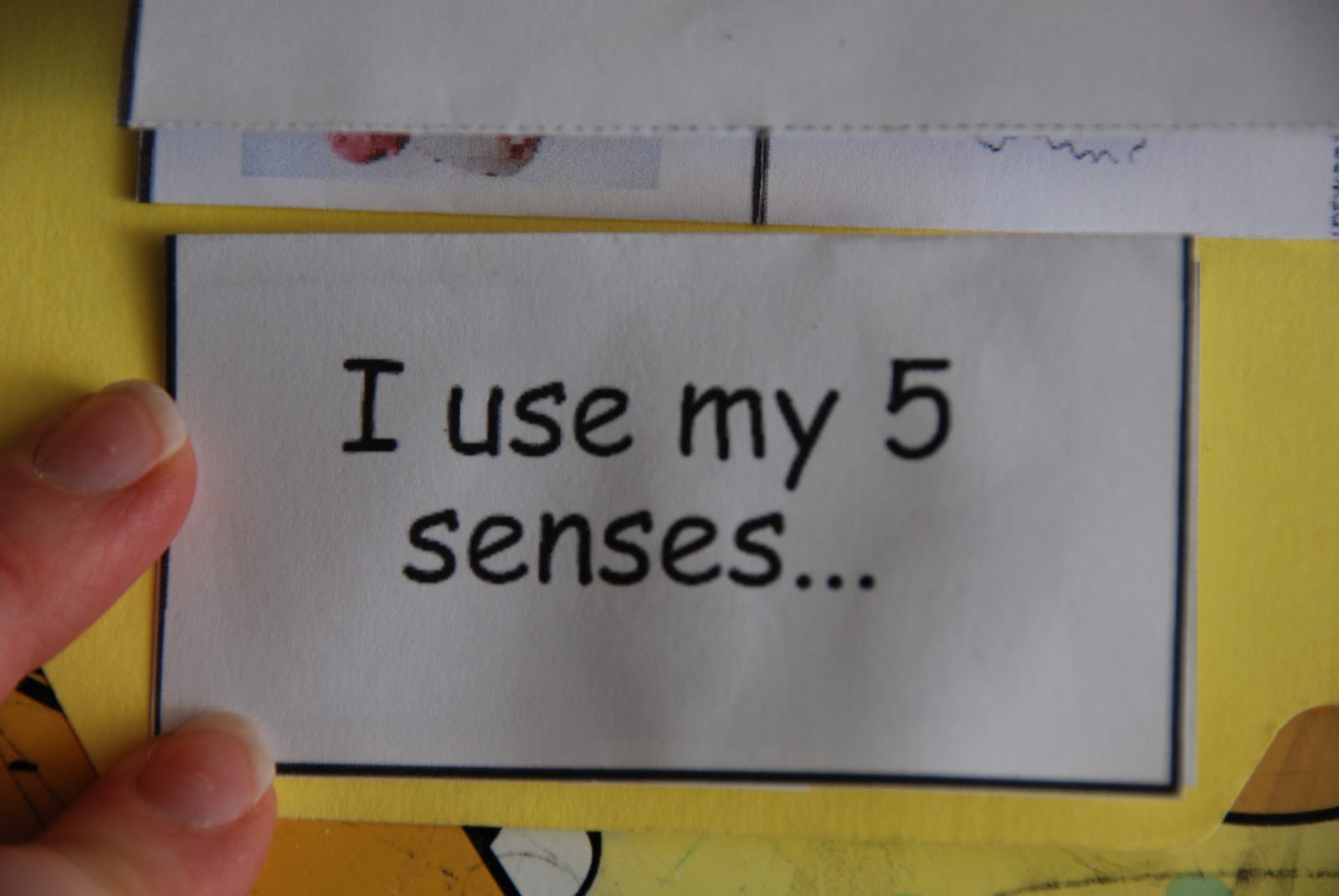 Adventures in Homeschooling: The 5 Senses