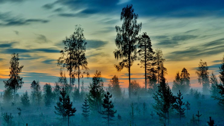 Sami%2BWinter%2BMarket%2Band%2BLiving%2B