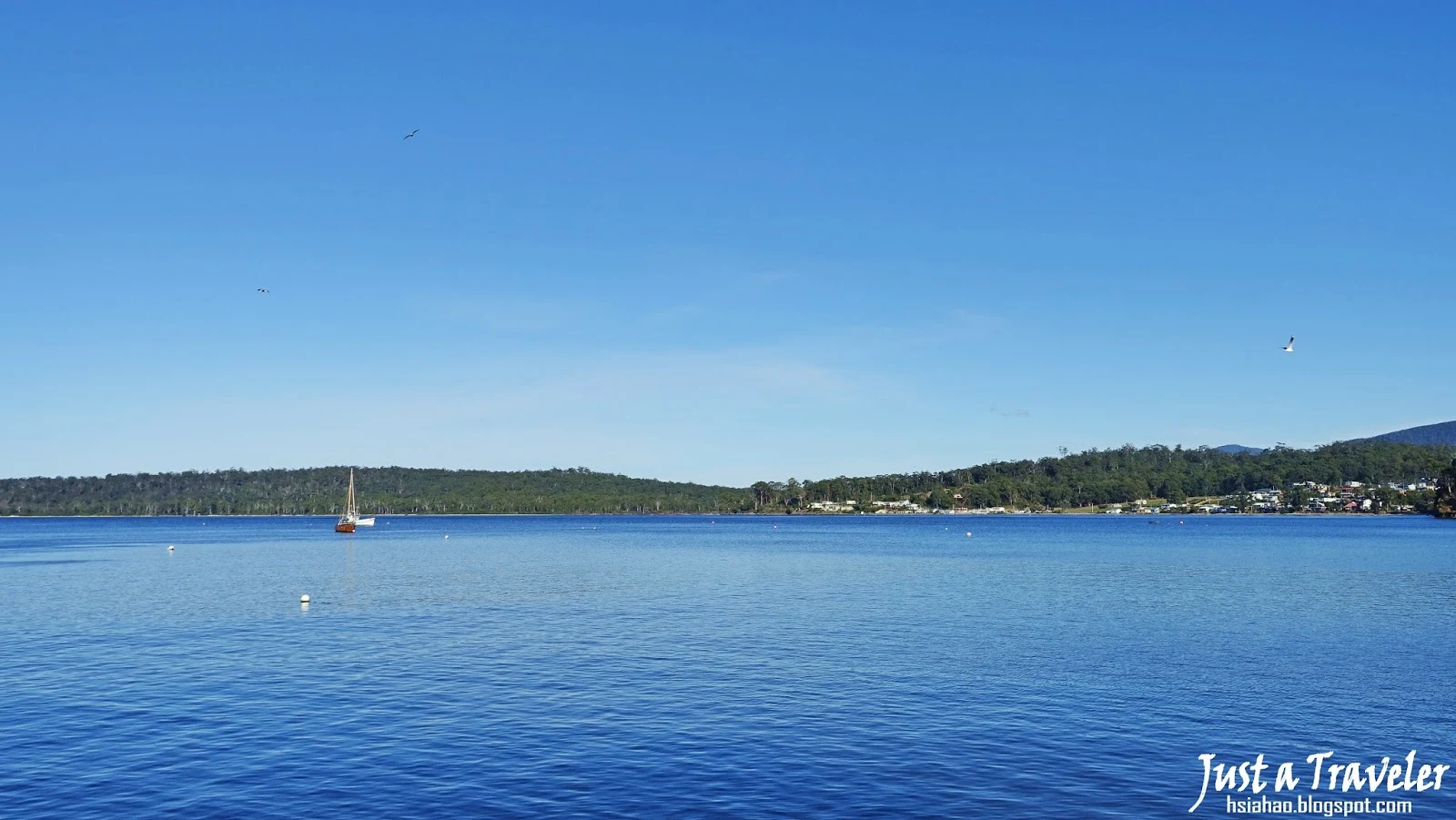 塔斯馬尼亞-南部-景點-推薦-南港-South-Port-旅遊-自由行-澳洲-Tasmania-Tourist-Attraction-Travel-Australia