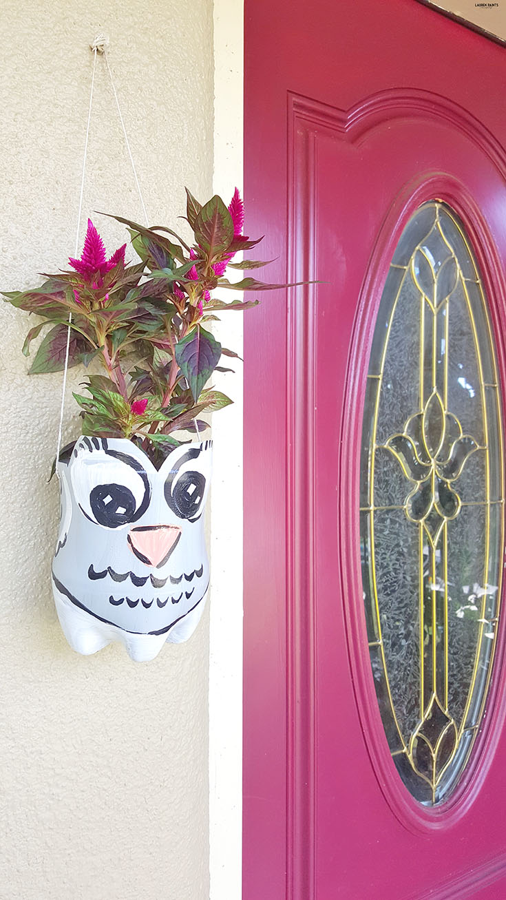 Who would have thought an old soda bottle could be so green? Check out how you can upcycle your Dew into something you can Do Yourself with this super simple fox and owl hanging planter project!