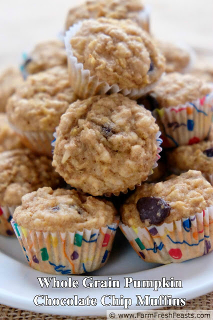 close up image of pumpkin oatmeal muffins with chocolate chips