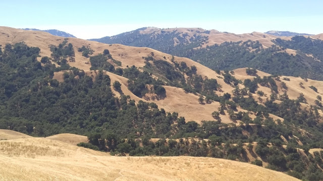 Flag Hill and Vista Grande trail view