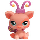 Littlest Pet Shop Pet Pairs Pig (#622) Pet
