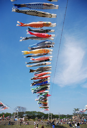 Japanese Koinobori