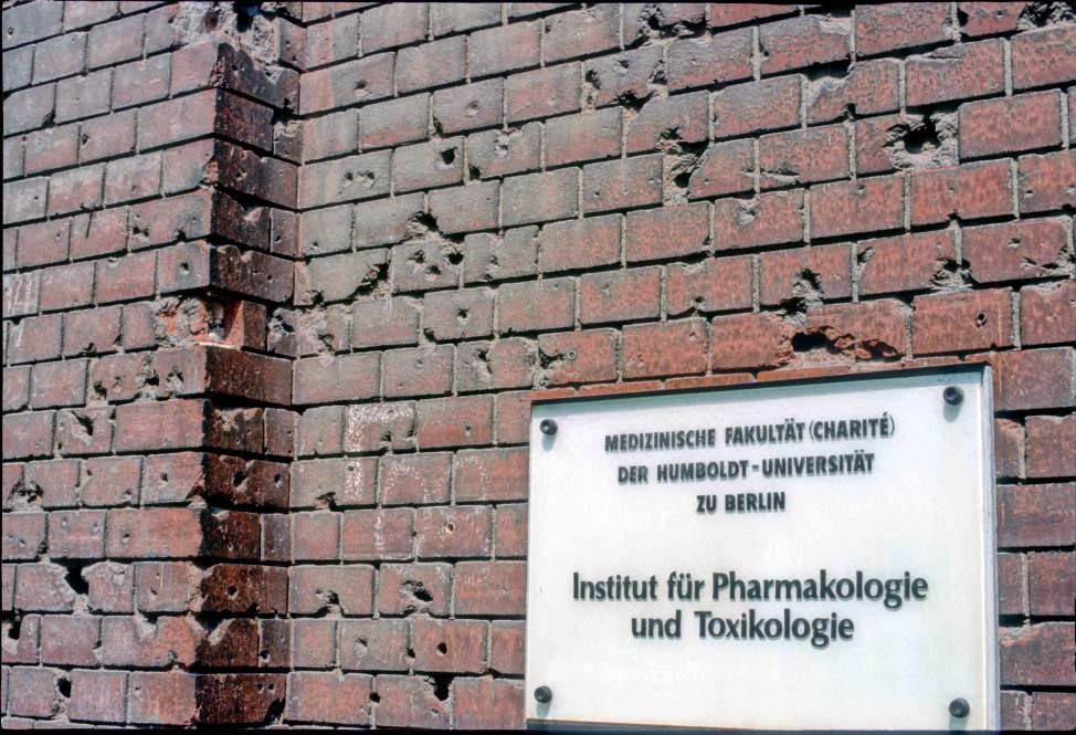 35 Photographs of Berlin in 1992 Vintage Everyday