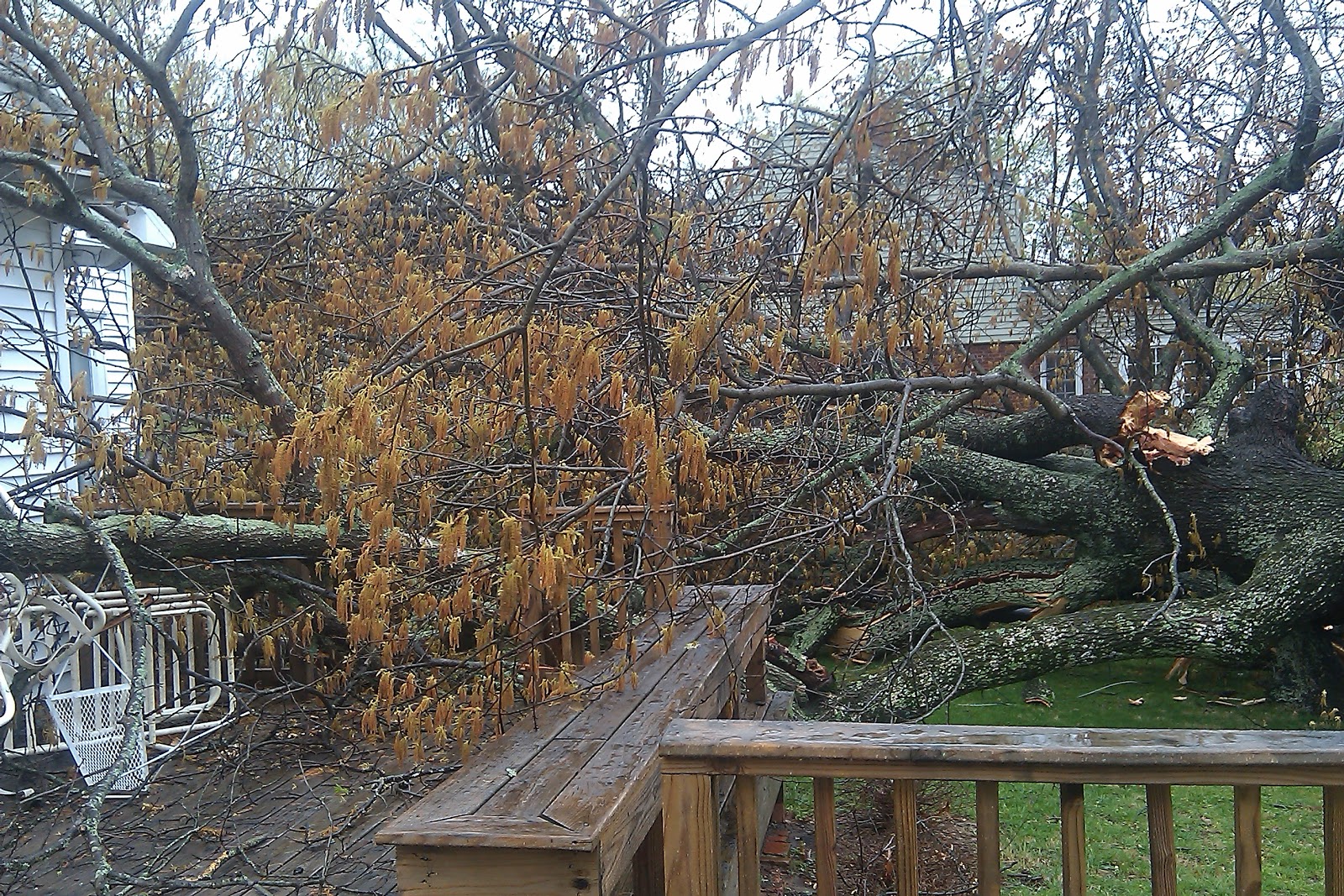 Architreks Tornado Alley, Tennessee