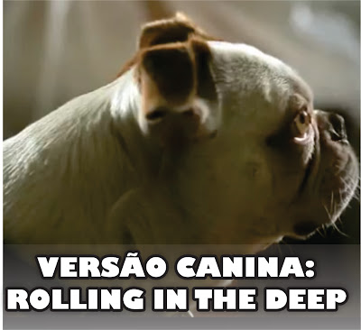 Versão canina da música da Adele