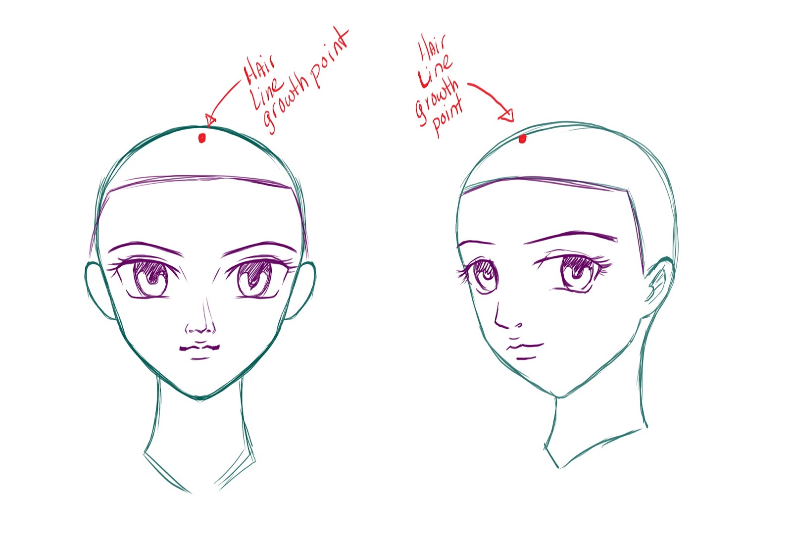 How To Draw Female Hairstyles  Anime  Manga Basics  Pigliicorn   Skillshare