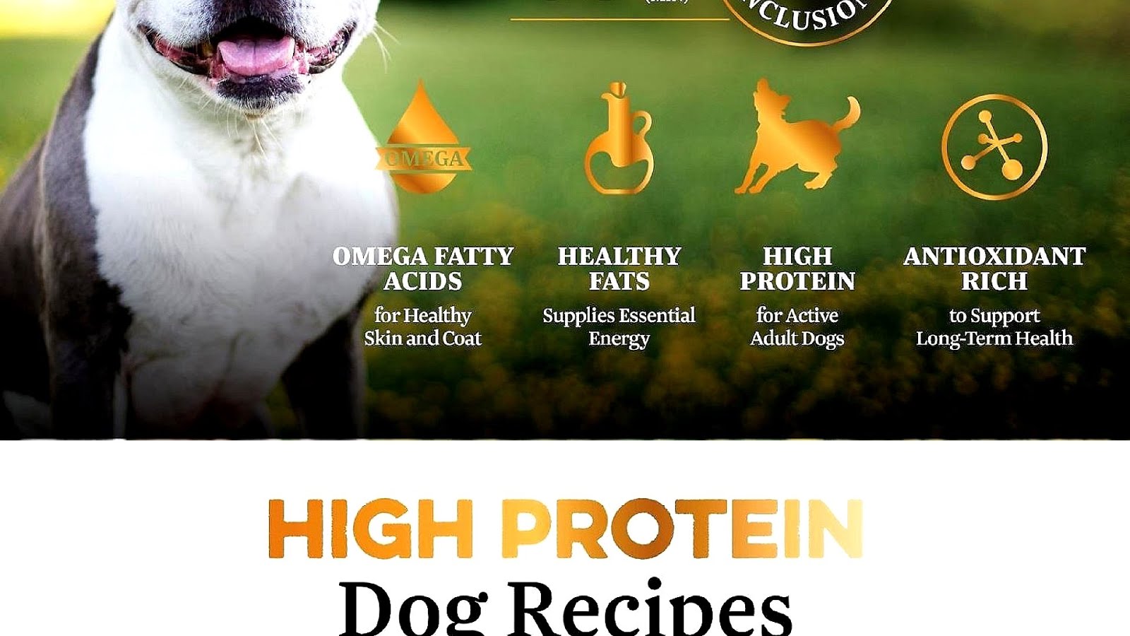 Low Fat High Protein Dog Food - Dog Choices
