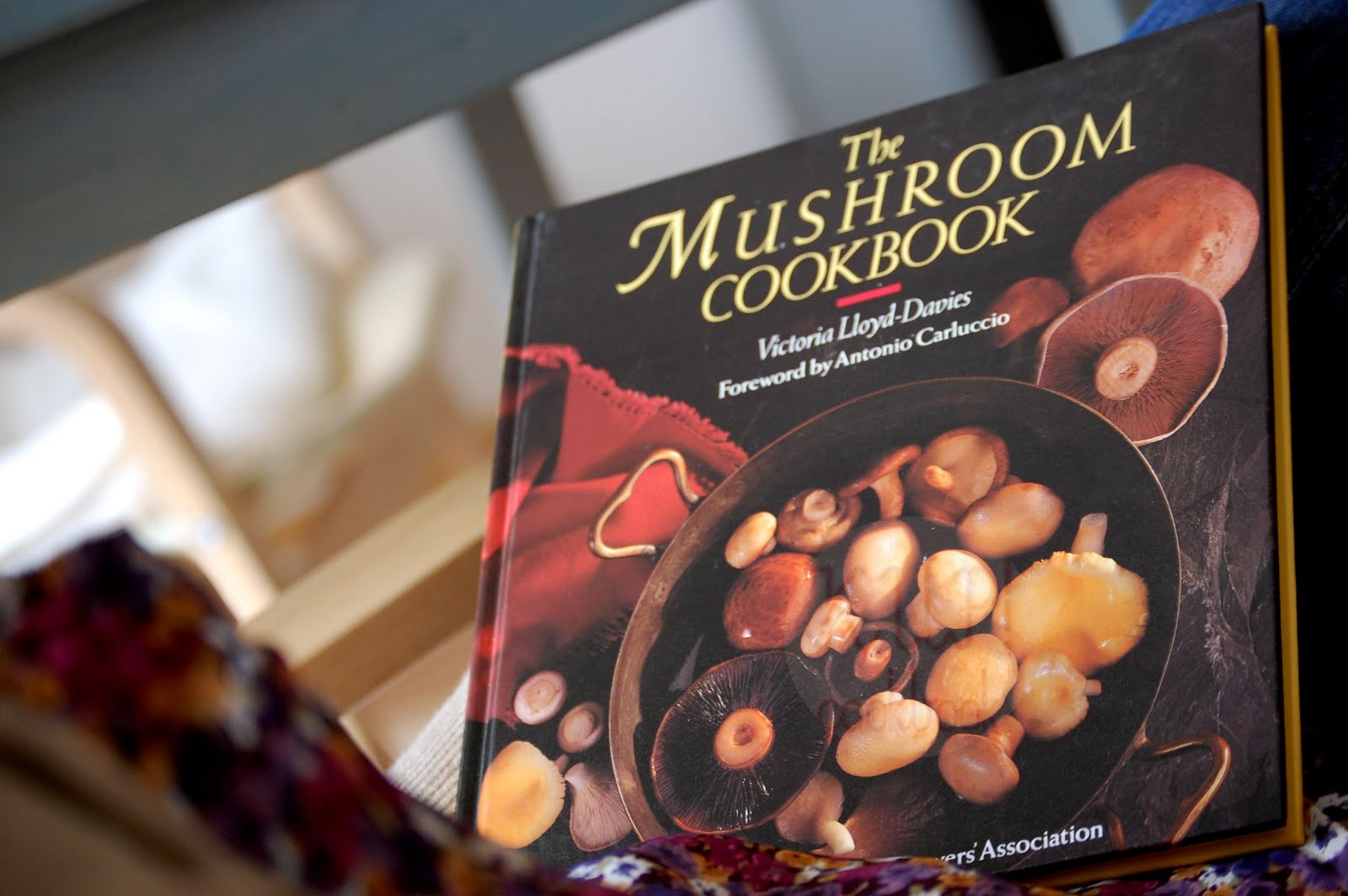 vintage cookbooks The Mushroom Cookbook