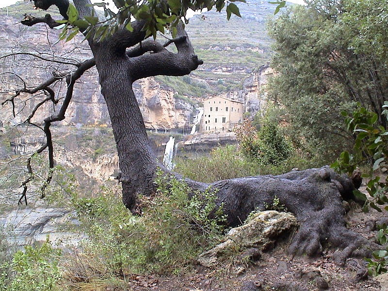 Sant Miquel del Fai