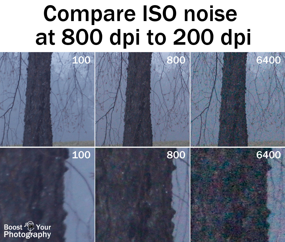 Compare ISO noise at 800 and 200 dpi | Boost Your Photography