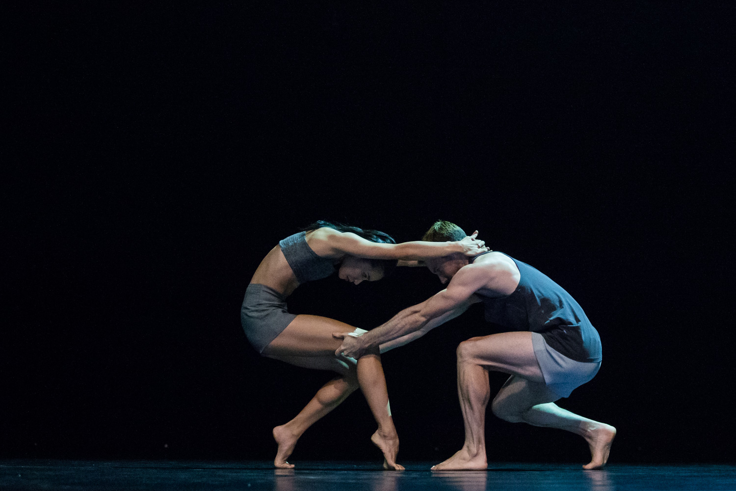 Shared Frequencies. Sydney Dance Company - Michelle Potter